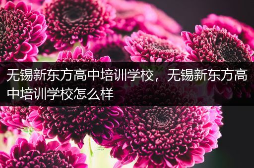 无锡新东方高中培训学校，无锡新东方高中培训学校怎么样
