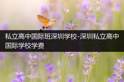 私立高中国际班深圳学校-深圳私立高中国际学校学费