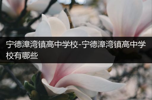 宁德漳湾镇高中学校-宁德漳湾镇高中学校有哪些