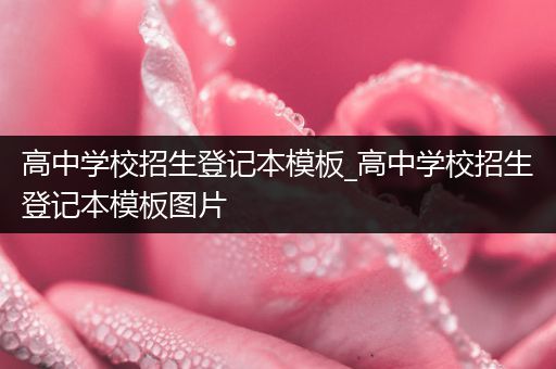 高中学校招生登记本模板_高中学校招生登记本模板图片