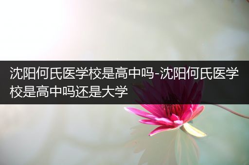 沈阳何氏医学校是高中吗-沈阳何氏医学校是高中吗还是大学