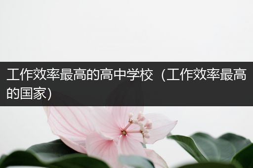工作效率最高的高中学校（工作效率最高的国家）