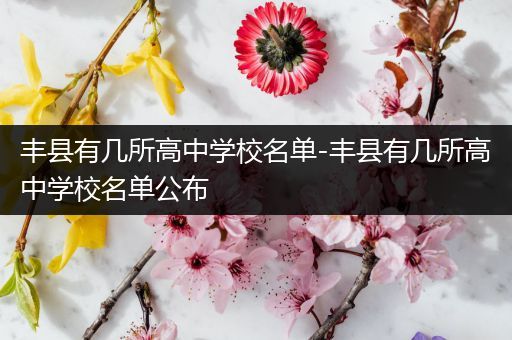 丰县有几所高中学校名单-丰县有几所高中学校名单公布
