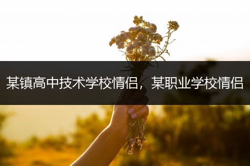 某镇高中技术学校情侣，某职业学校情侣