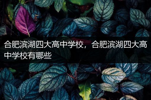合肥滨湖四大高中学校，合肥滨湖四大高中学校有哪些