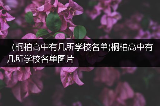 （桐柏高中有几所学校名单)桐柏高中有几所学校名单图片