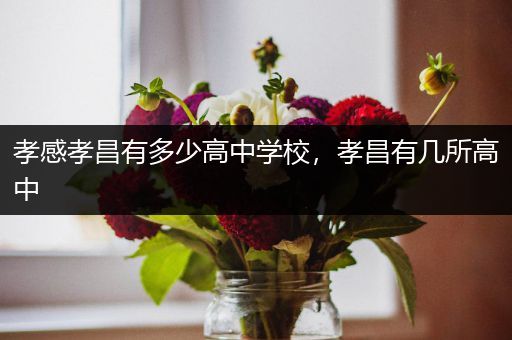 孝感孝昌有多少高中学校，孝昌有几所高中