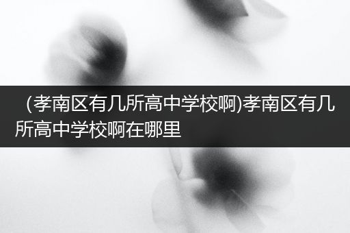（孝南区有几所高中学校啊)孝南区有几所高中学校啊在哪里