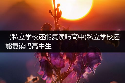 （私立学校还能复读吗高中)私立学校还能复读吗高中生
