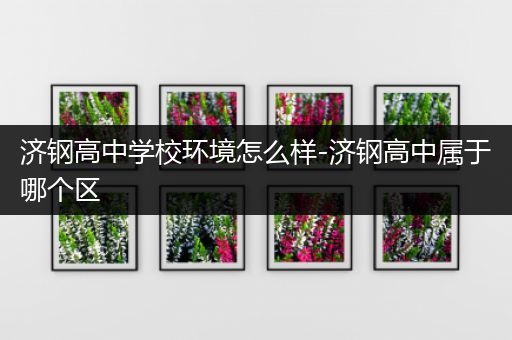 济钢高中学校环境怎么样-济钢高中属于哪个区