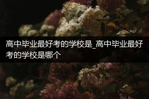 高中毕业最好考的学校是_高中毕业最好考的学校是哪个