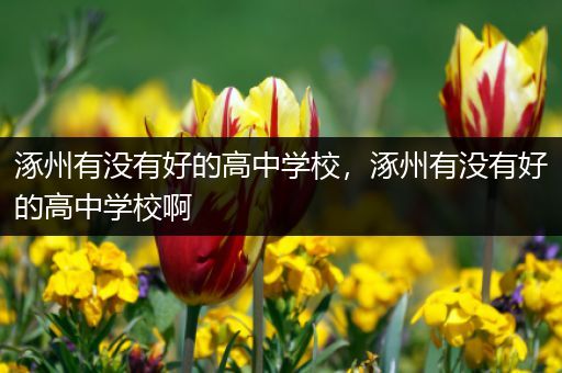 涿州有没有好的高中学校，涿州有没有好的高中学校啊