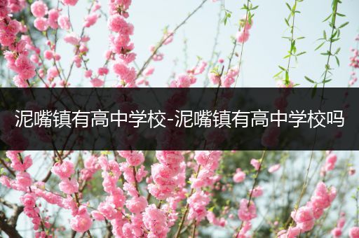 泥嘴镇有高中学校-泥嘴镇有高中学校吗