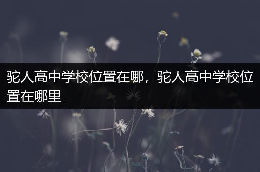 驼人高中学校位置在哪，驼人高中学校位置在哪里