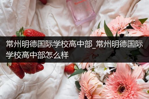 常州明德国际学校高中部_常州明德国际学校高中部怎么样