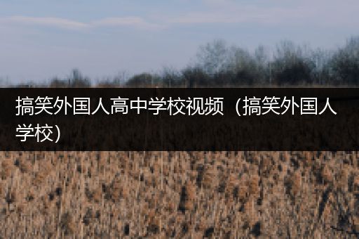 搞笑外国人高中学校视频（搞笑外国人 学校）