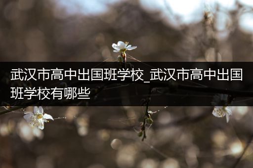 武汉市高中出国班学校_武汉市高中出国班学校有哪些