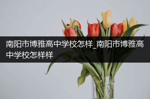 南阳市博雅高中学校怎样_南阳市博雅高中学校怎样样