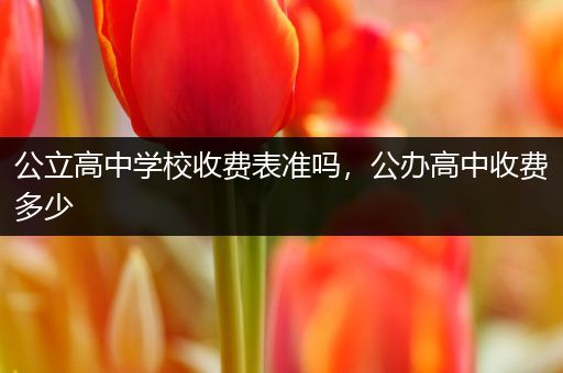 公立高中学校收费表准吗，公办高中收费多少