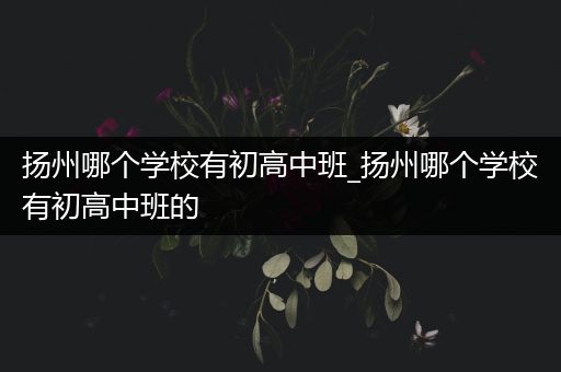扬州哪个学校有初高中班_扬州哪个学校有初高中班的