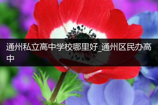 通州私立高中学校哪里好_通州区民办高中