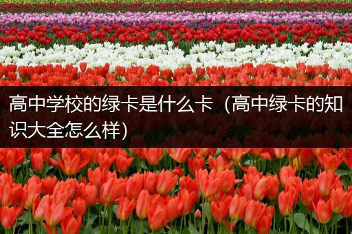 高中学校的绿卡是什么卡（高中绿卡的知识大全怎么样）