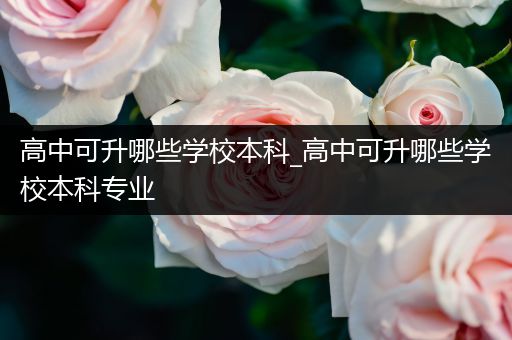 高中可升哪些学校本科_高中可升哪些学校本科专业