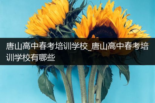 唐山高中春考培训学校_唐山高中春考培训学校有哪些