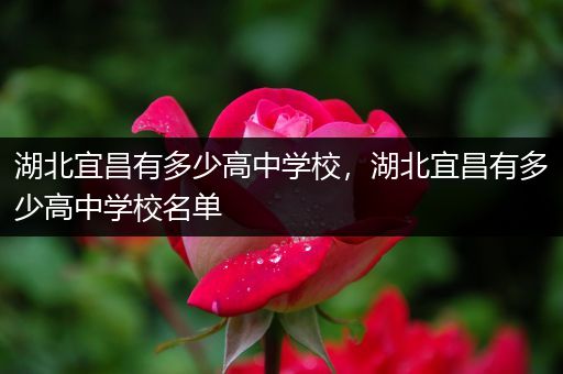 湖北宜昌有多少高中学校，湖北宜昌有多少高中学校名单