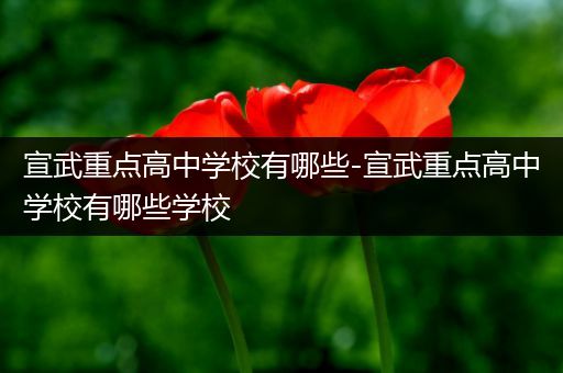 宣武重点高中学校有哪些-宣武重点高中学校有哪些学校