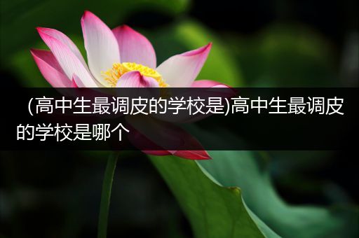 （高中生最调皮的学校是)高中生最调皮的学校是哪个