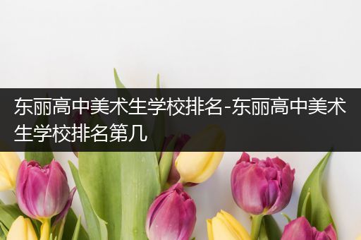 东丽高中美术生学校排名-东丽高中美术生学校排名第几