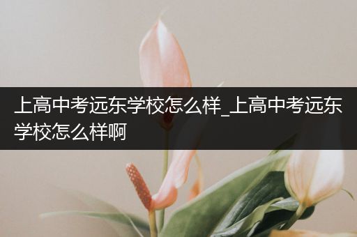 上高中考远东学校怎么样_上高中考远东学校怎么样啊