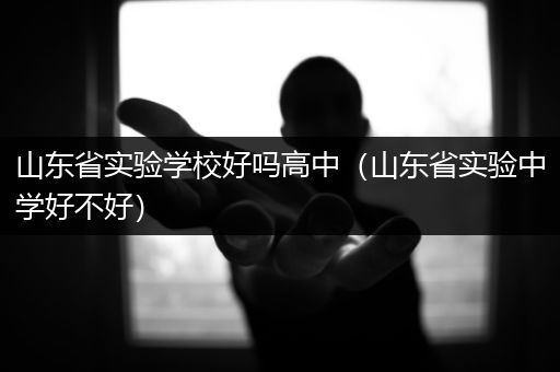 山东省实验学校好吗高中（山东省实验中学好不好）