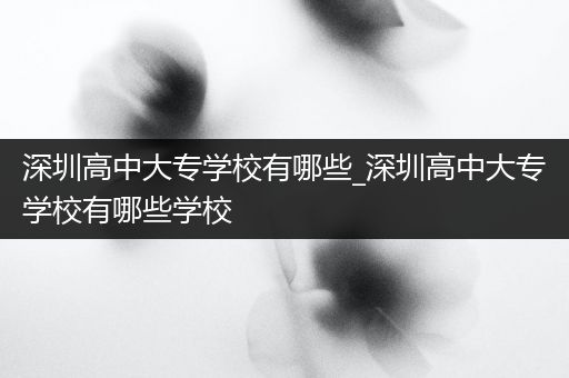 深圳高中大专学校有哪些_深圳高中大专学校有哪些学校