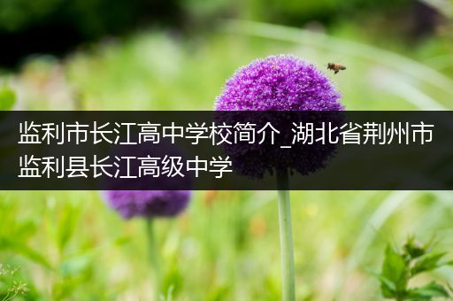 监利市长江高中学校简介_湖北省荆州市监利县长江高级中学