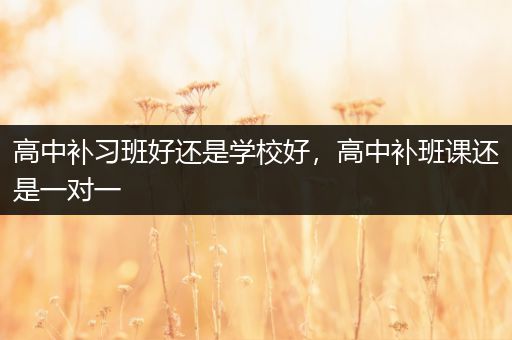 高中补习班好还是学校好，高中补班课还是一对一