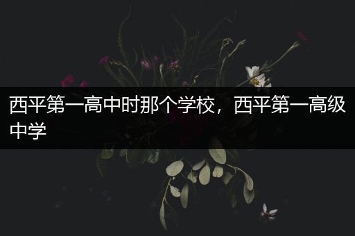 西平第一高中时那个学校，西平第一高级中学