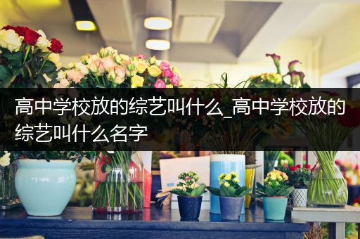 高中学校放的综艺叫什么_高中学校放的综艺叫什么名字