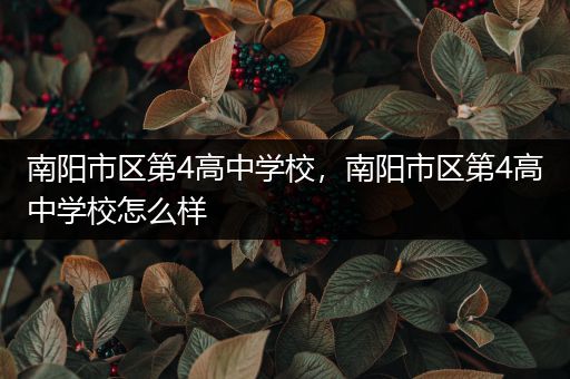 南阳市区第4高中学校，南阳市区第4高中学校怎么样