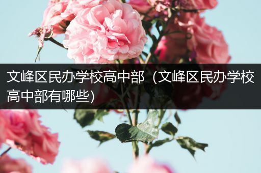 文峰区民办学校高中部（文峰区民办学校高中部有哪些）