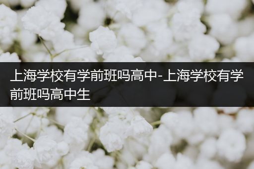 上海学校有学前班吗高中-上海学校有学前班吗高中生