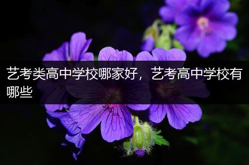 艺考类高中学校哪家好，艺考高中学校有哪些