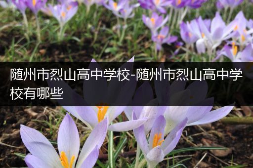 随州市烈山高中学校-随州市烈山高中学校有哪些
