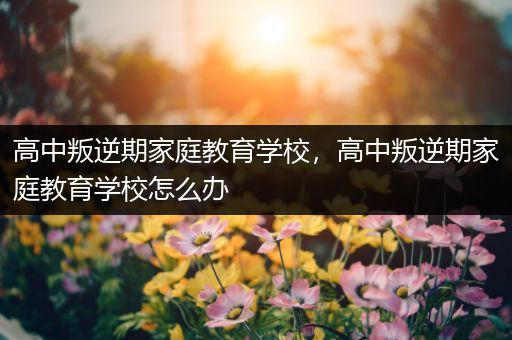 高中叛逆期家庭教育学校，高中叛逆期家庭教育学校怎么办