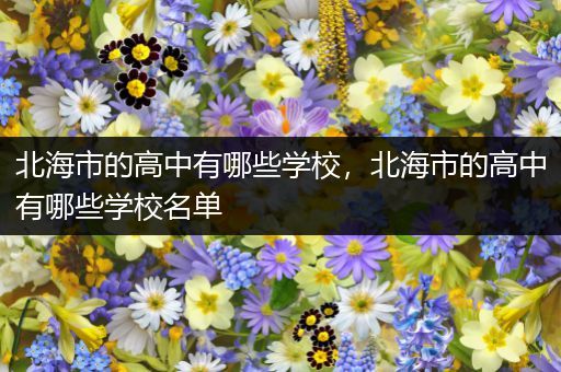 北海市的高中有哪些学校，北海市的高中有哪些学校名单