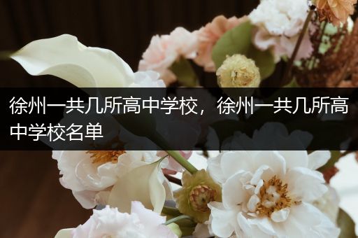 徐州一共几所高中学校，徐州一共几所高中学校名单
