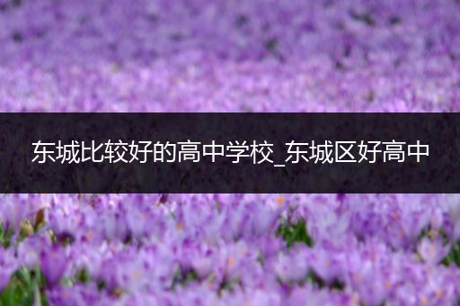 东城比较好的高中学校_东城区好高中