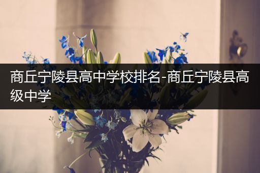 商丘宁陵县高中学校排名-商丘宁陵县高级中学