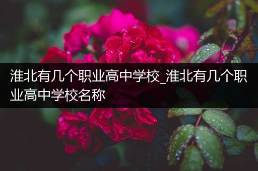 淮北有几个职业高中学校_淮北有几个职业高中学校名称